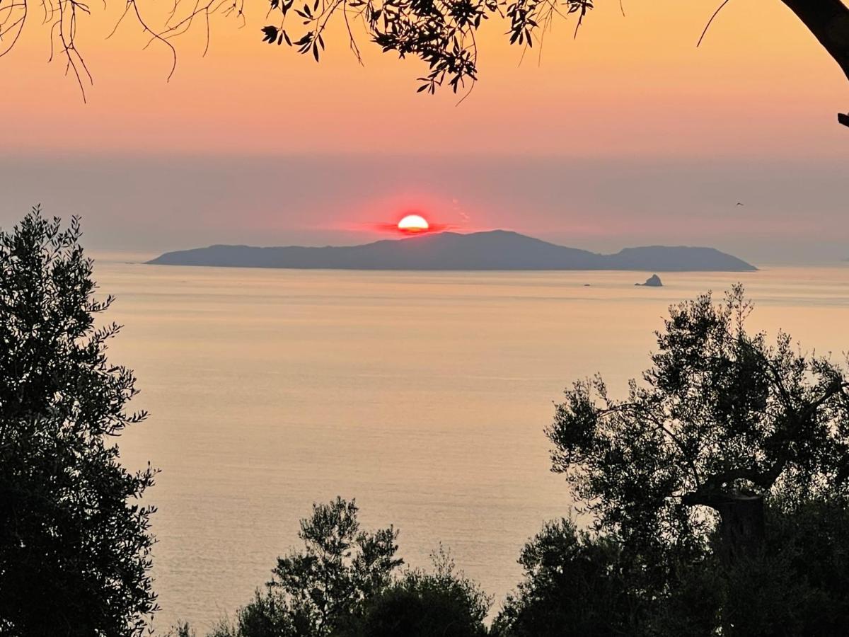 Arillas Hillside Villa 3 - Provence Bagian luar foto
